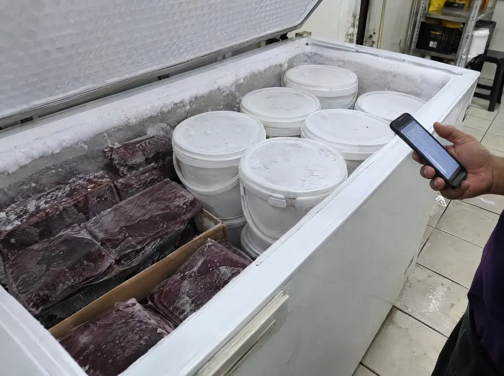 Contagem do freezer de açaí pelo celular
